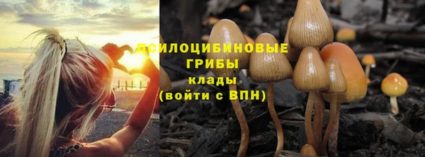 бошки Алексеевка