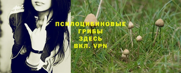 бошки Алексеевка