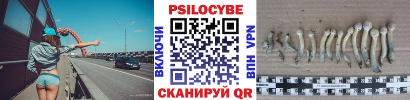 наркотики  Зеленоградск  Галлюциногенные грибы Magic Shrooms 